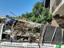 Best Same-Day Junk Removal Services  in Worth, IL