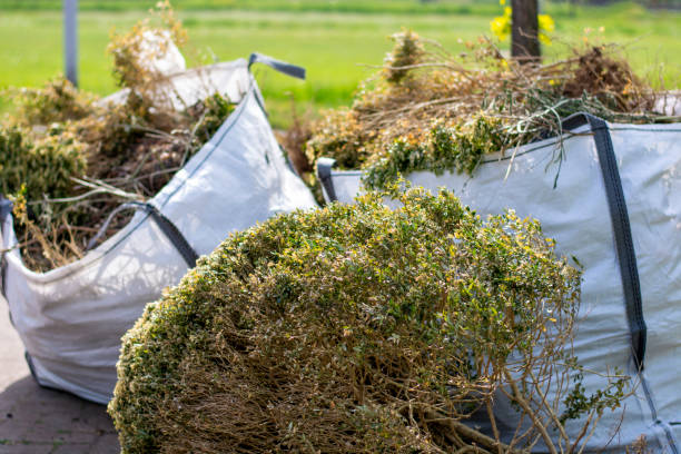Best Estate Cleanout  in Worth, IL